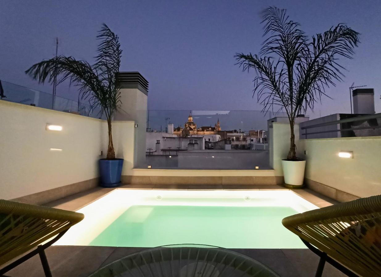 Luxury Penthouse With Private Pool Setas Monument Appartement