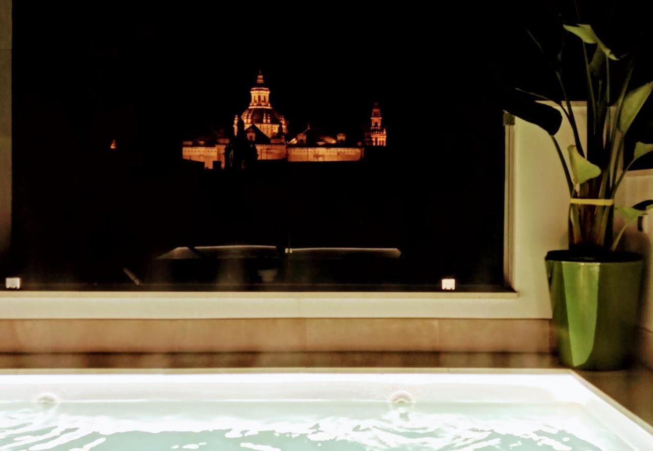 Appartement Luxury Penthouse With Private Pool Setas Monument *